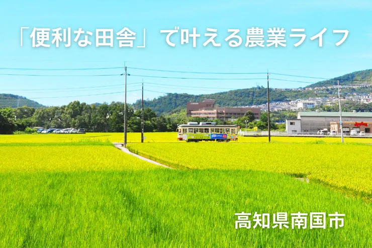 圖片來源：南国市官網