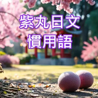 紫丸日文慣用語