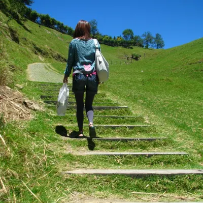 夢境觀察家的沙龍