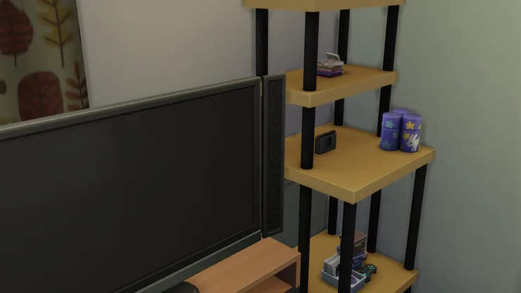 電視機旁的架子擺放了遊戲機、遊戲光碟、影碟等娛樂用的雜物。