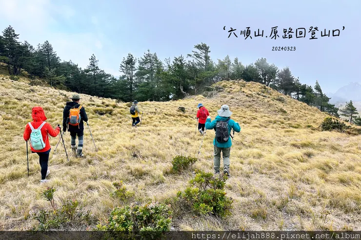 【丹大林道.六順山.七彩湖】六順山.海拔3009公尺/波波草