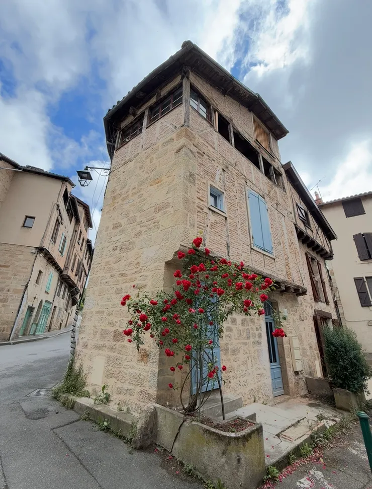 因為花,房子都不寂寞了