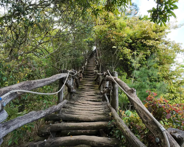 大坑特色相思圓木棧道