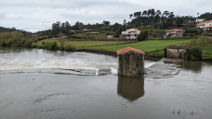有人知道這什麼嗎？哈