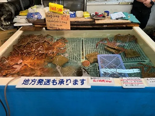 活活的皇帝蟹，今日的午餐就是你了。😛