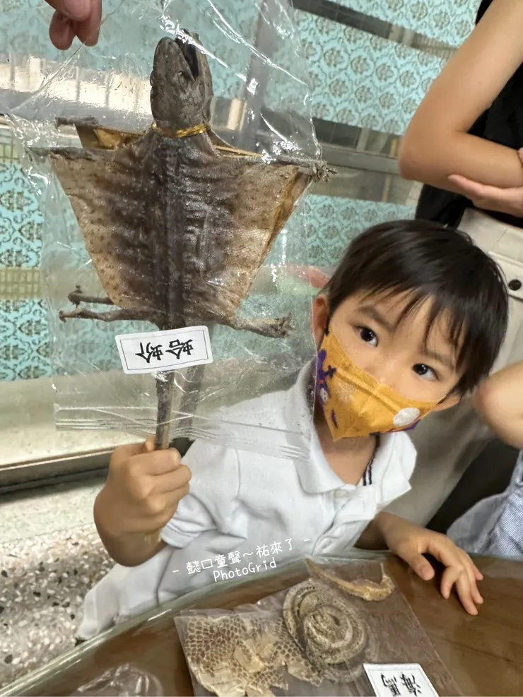 對於這些動物中藥他們很好奇。還好不是活的,不然媽媽很怕。哈哈~