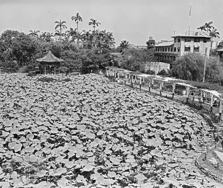 圖15 臺北市植物園與國立教育廣播電臺 案名：公共、藝文建設 檔號：0051/0065/1 來源機關：行政院農業委員會林業試驗所 管有機關：國家發展委員會檔案管理局