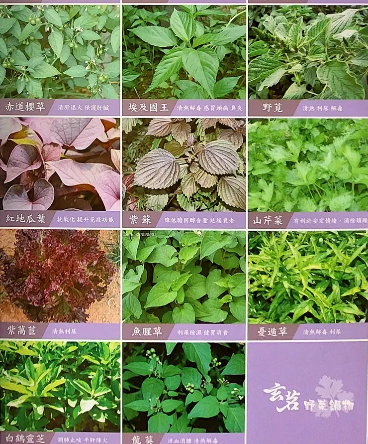 ▲中壢「玄茗野菜鍋物」/ 圖片來源：Betty's Jump Diary