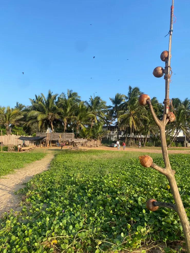 飯店連結著海灘