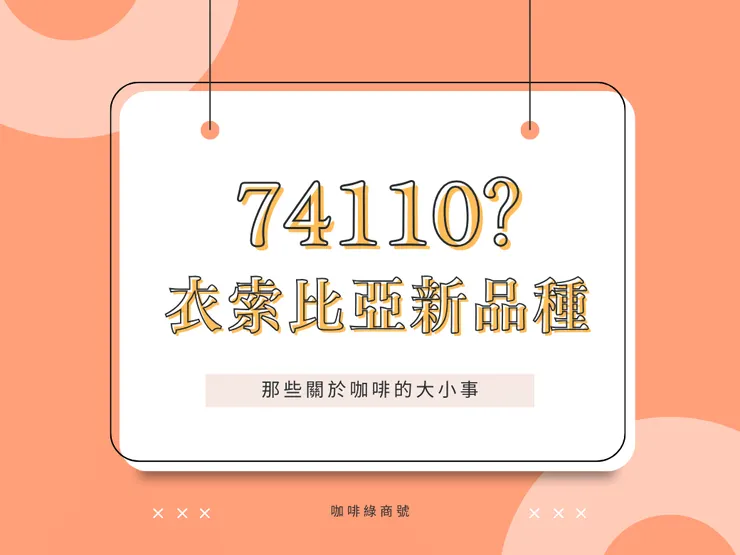 衣索比亞改良新品種