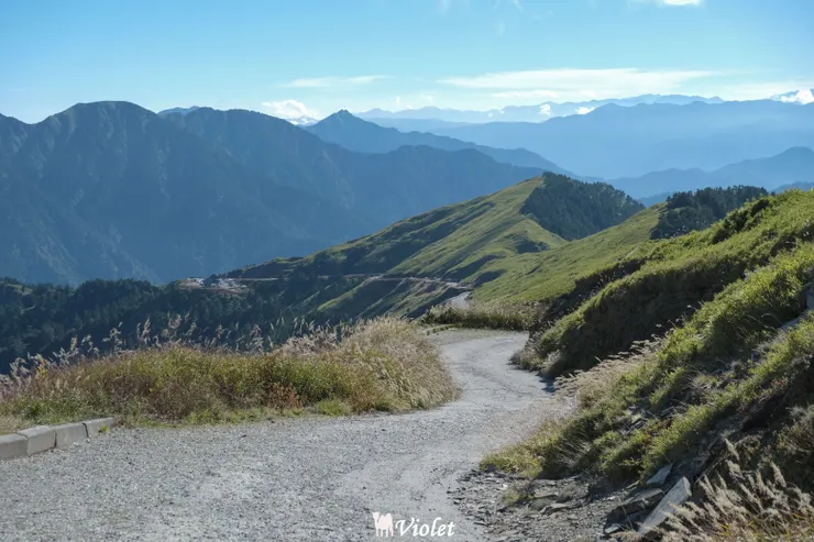 合歡山主峰步道