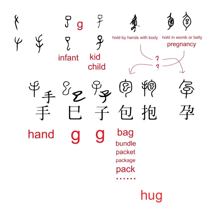 【附圖：「手、巳、子、包、抱、孕」字形演化及&nbsp;English&nbsp;之&nbsp;hug&nbsp;與漢字「抱」的橋接關係】