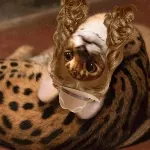 🌏笑笑貓貓😆的沙龍