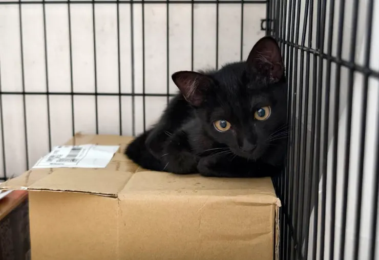 初來乍到的錢錢