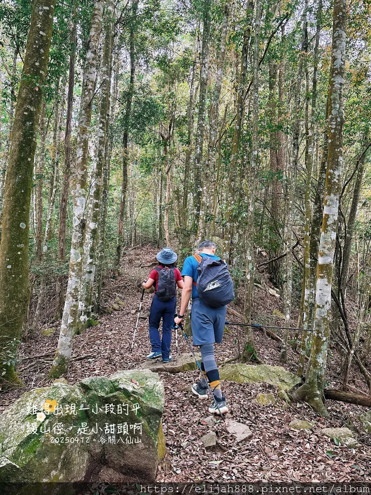 【谷關健行/住宿】谷關七雄老大。海拔2366公尺八仙山主峰。