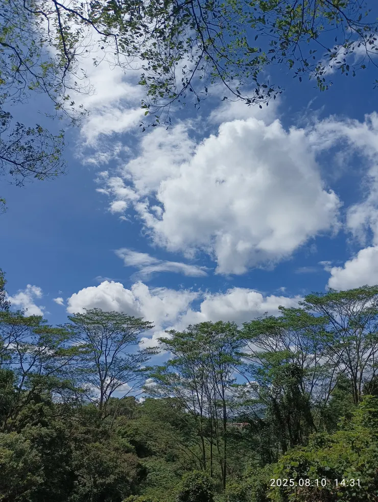 雲遊摩鹿加合歡之上，自拍攝