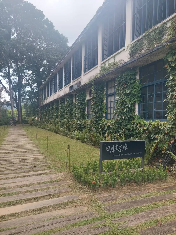 綠色氣息的圍繞