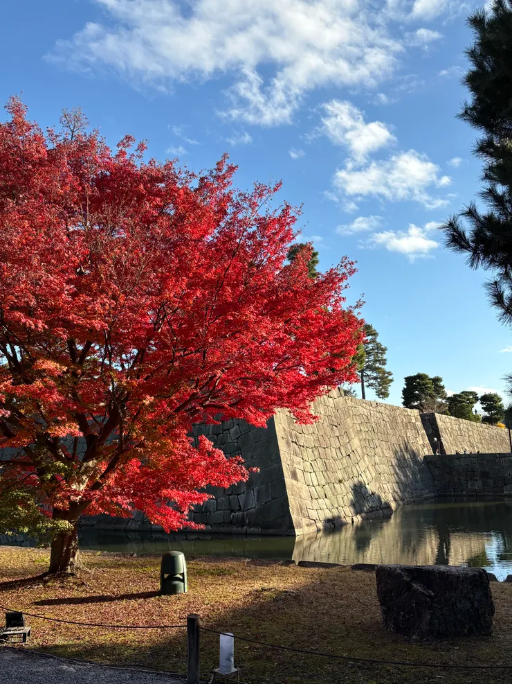 二条城護城河一隅