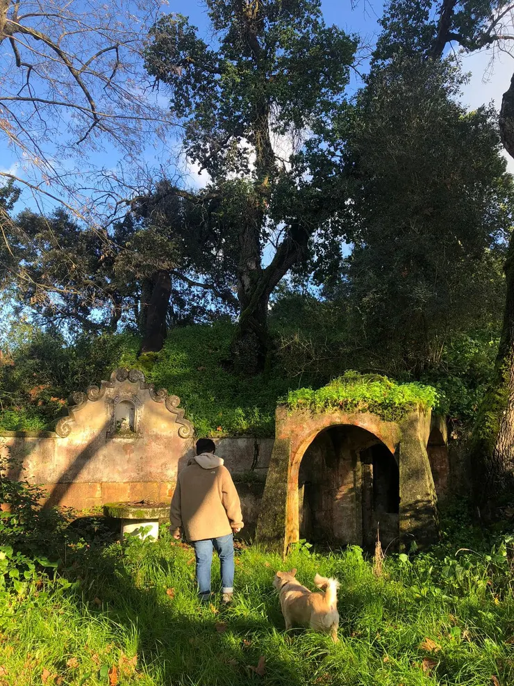 在村子裡溜狗散步