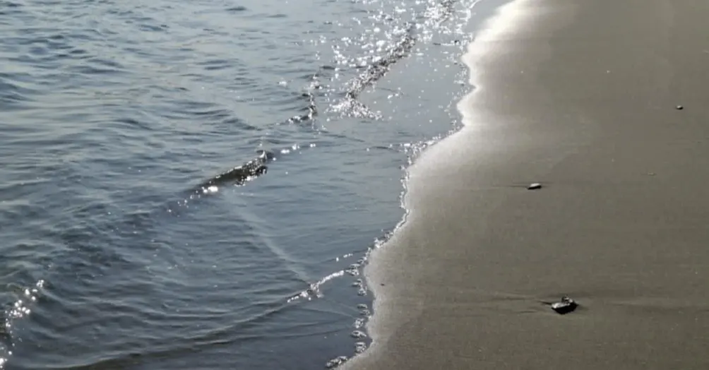 yuki no oto的沙龍