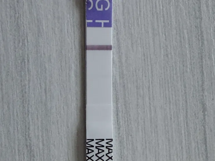 集中心神才能看到的意念粉    加尼一起/攝