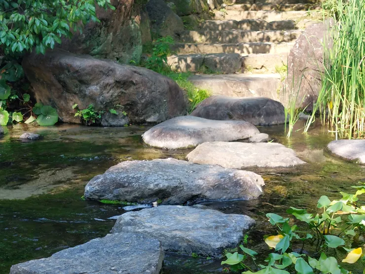 踩著大石頭渡過小溪感覺很輕快
