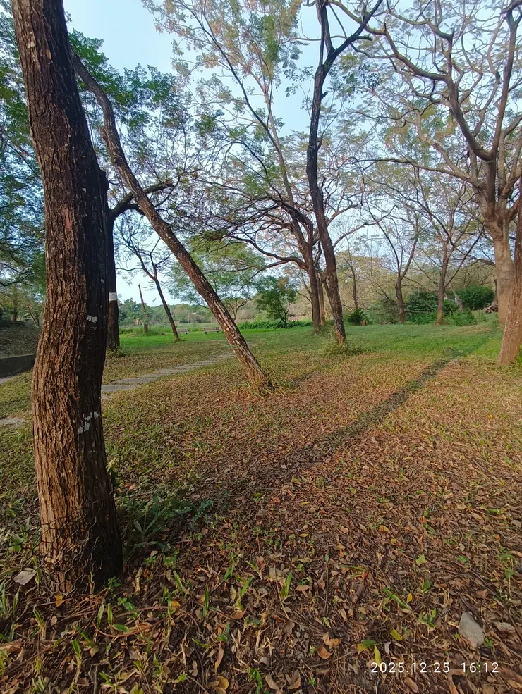 斜陽妝淡影嬌軟