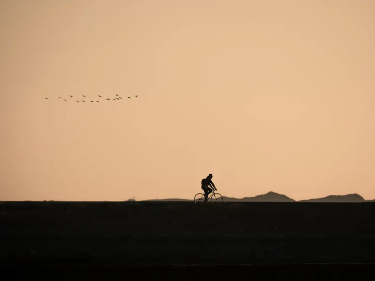 愜意的黃金時刻：鳥群與騎士的身影