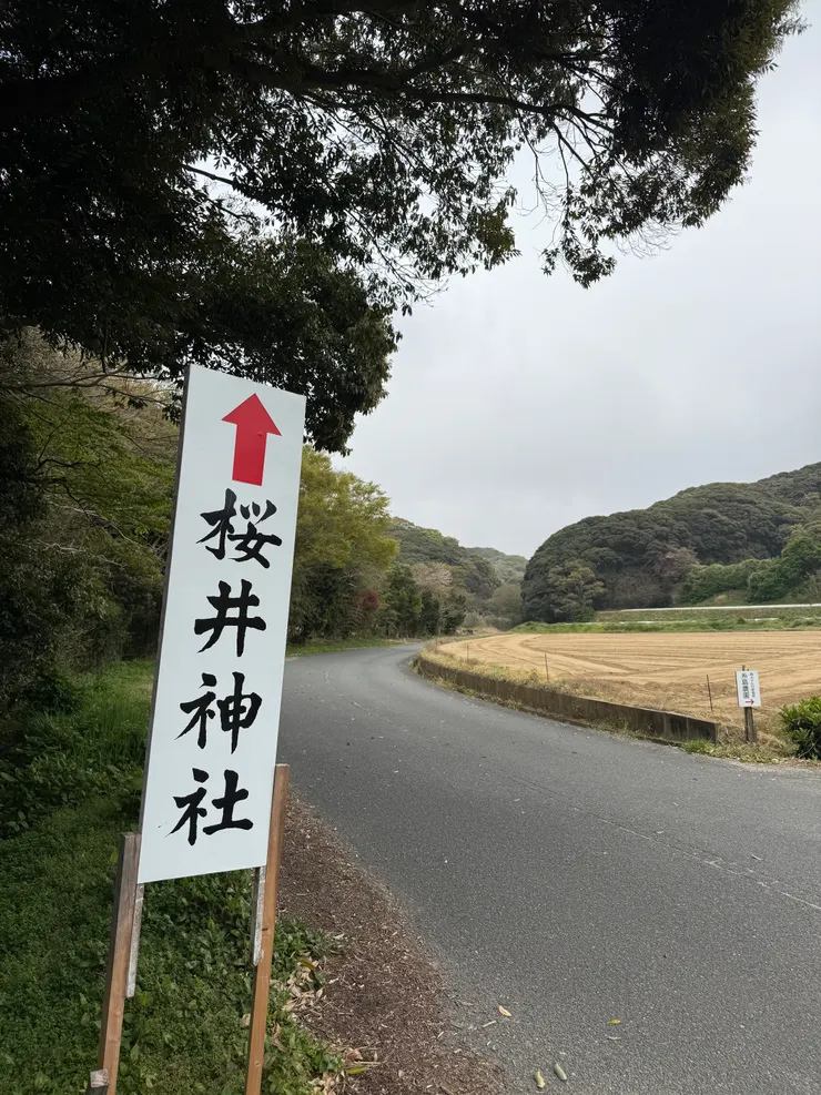 沿路只有我一個人走路