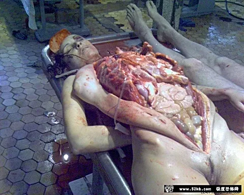 死了的人是美人。死了的人都漂亮…像一具無影玻璃。