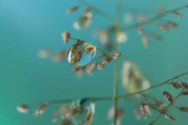 尋求文化自主及獨立性-圖片來源：Pixabay