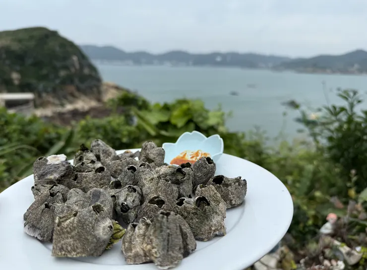 長得像火山的藤壺，有些還黏著小小的佛手