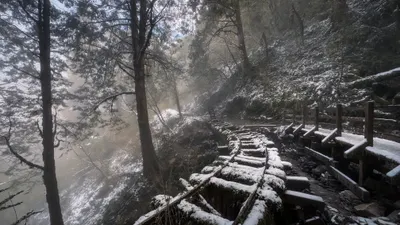 大年初一上太平山看舊林鐵，意外遇到雪景！