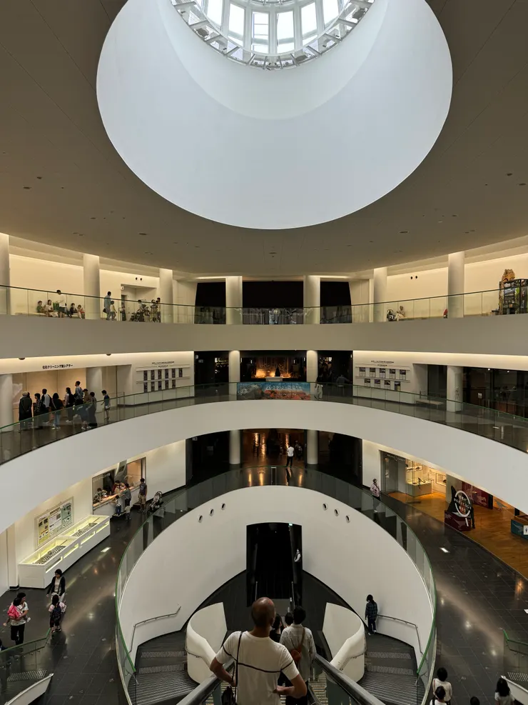 從正中間搭電梯下去