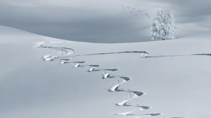 高山滑雪的樂趣-圖片來源：Pixabay