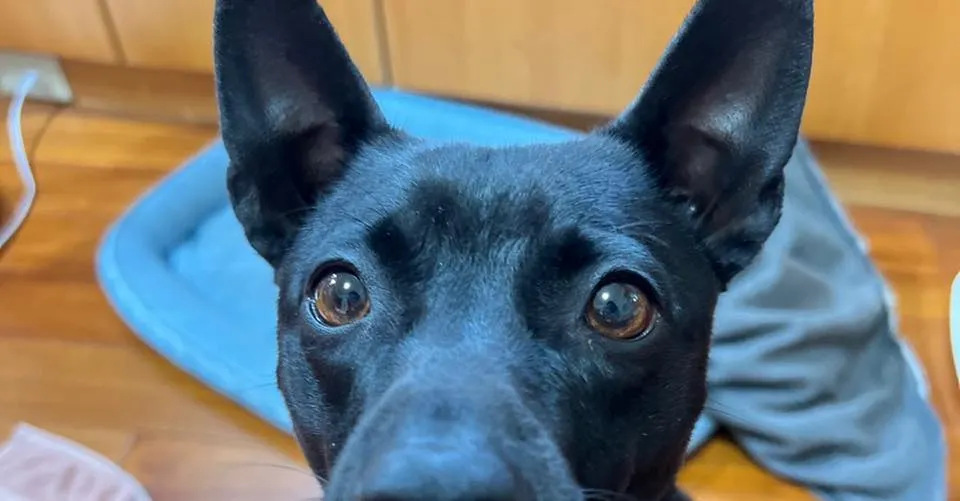 劉大毛的投資筆記