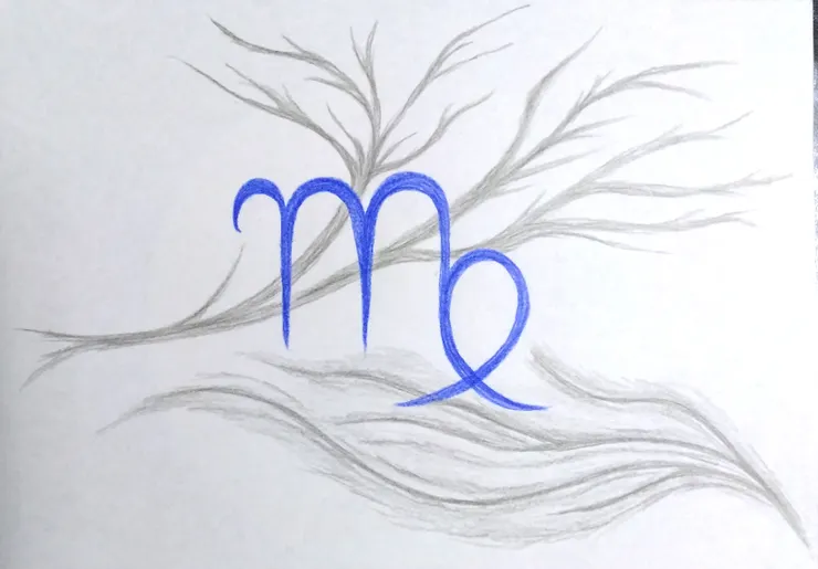 處女座的學習心得