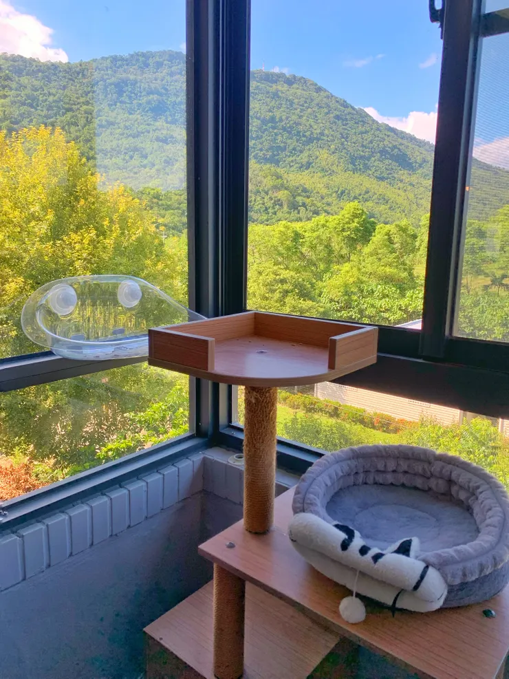 瑋琳家的客廳小陽台包起來作為室內空間，除了好清潔，又多了一處讓貓咪玩耍、曬太陽的地方。