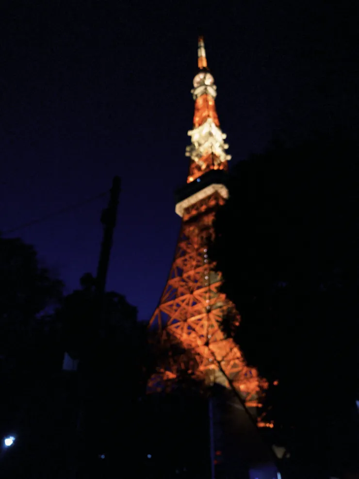 氤氳的東京鐵塔