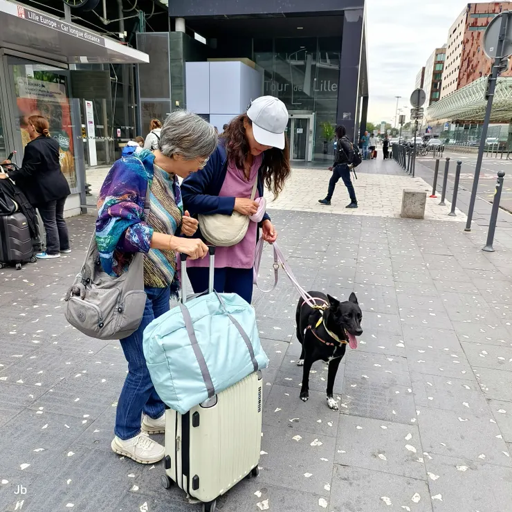 【終點望見里爾塔怡青阿肥來接！與阿肥初見面，牠是怡青3年前從台灣領養的浪浪，主要血統是台灣土狗，聰明顧家。有4隻白足，在台灣因迷信没人肯收留。】
