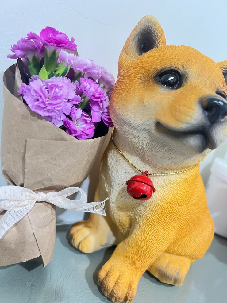 小橘的眼神彷彿在說：「謝謝你。」