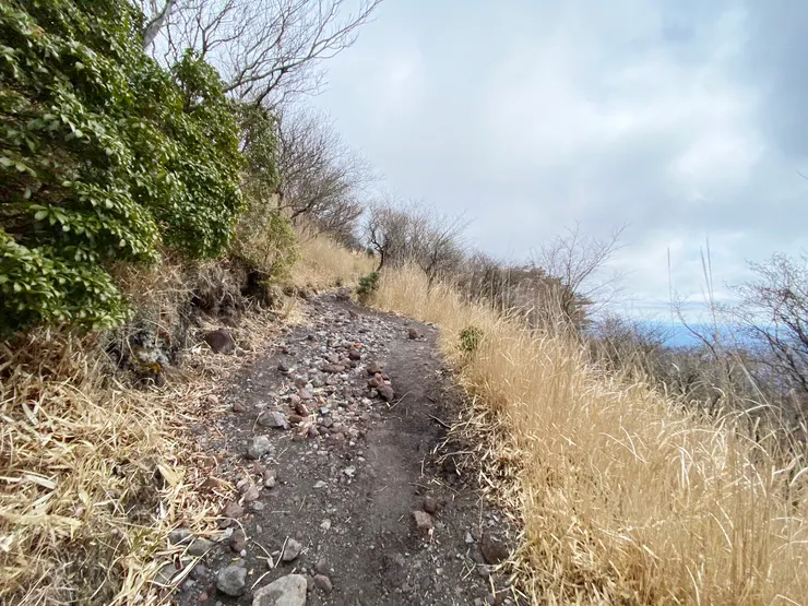 日本大分-由布岳 || 出了樹林區後就是小灌木叢了，視野開闊很多