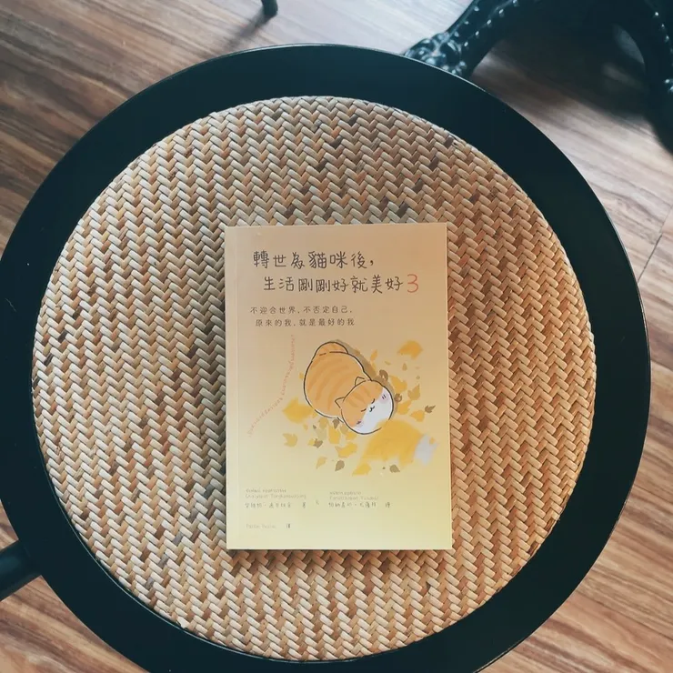  　　(=^･ω･^=)轉世為貓咪後，我懂得……