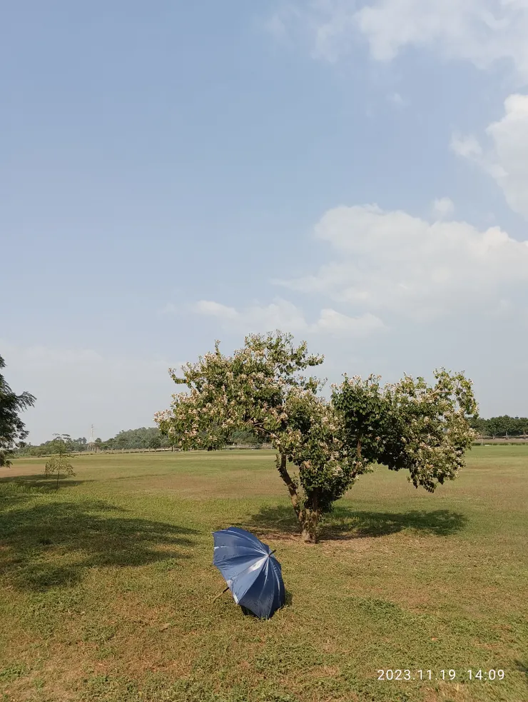 腳根先觸地後踩實“湧泉”腳尖提，漫行於生之餘，今日的初生必也終成