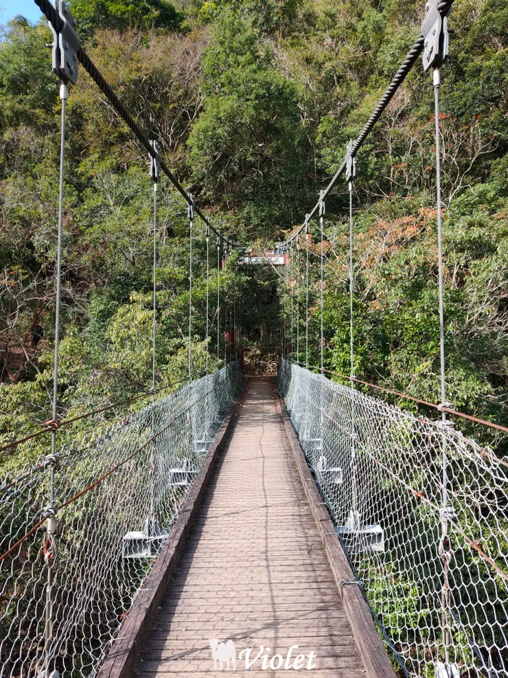 錐麓古道