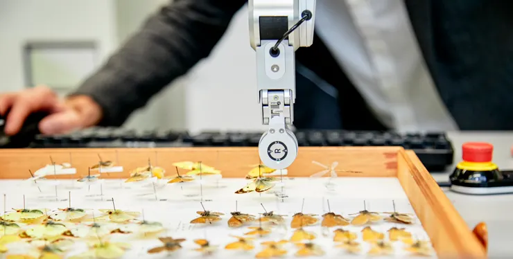 圖片來源：Digitising the NHM