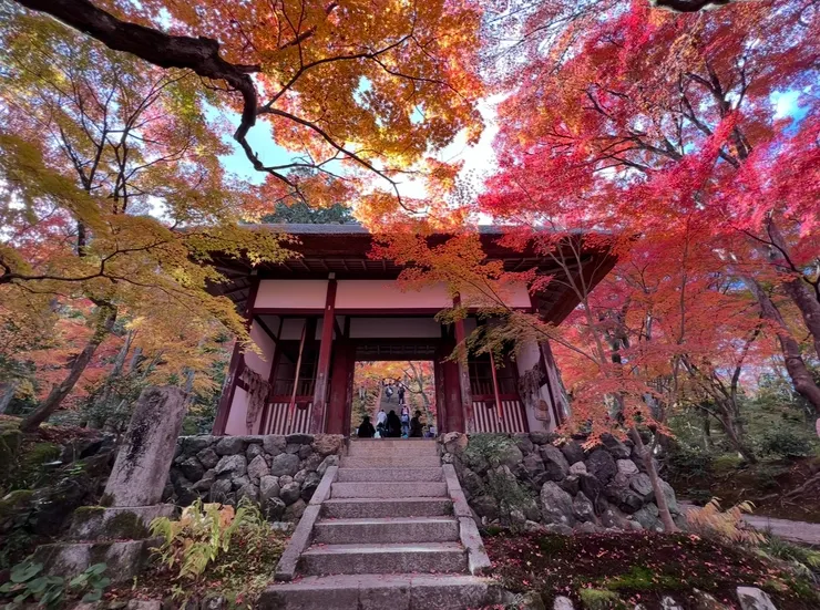 為了等一張門口沒人的照片,我罰站了很久😂😂