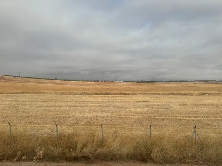 沿途都是金黃色草原