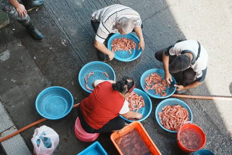 主婦聯盟環境保護基金會提供，海波浪瀚臨攝