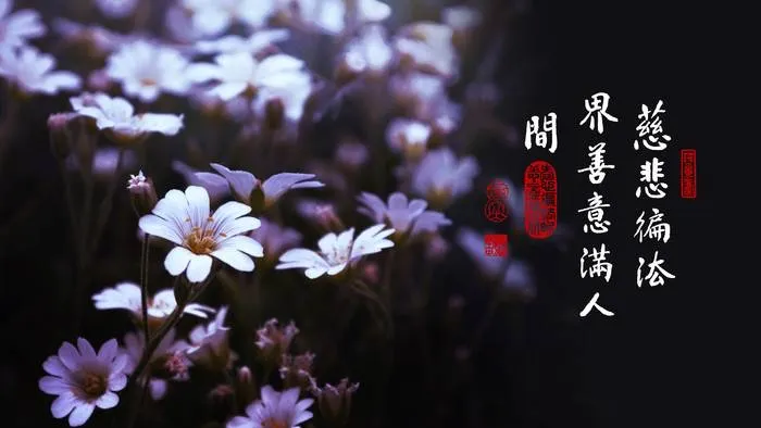 專心持念「阿彌陀佛」萬德洪名，期生淨土